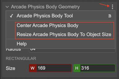 Arcade Physics Body Geometry section's menu.